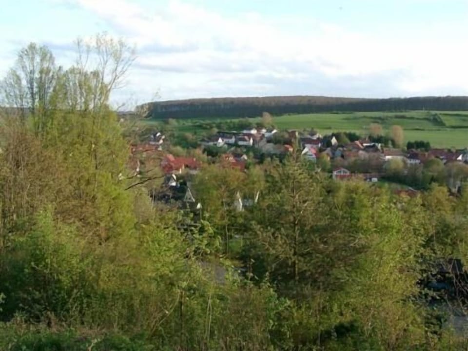 Area that directly surrounds the property