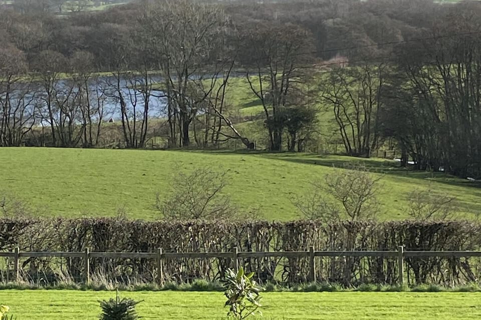 Aulderneuk fishery is ideally located for some afternoon or morning fly fishing