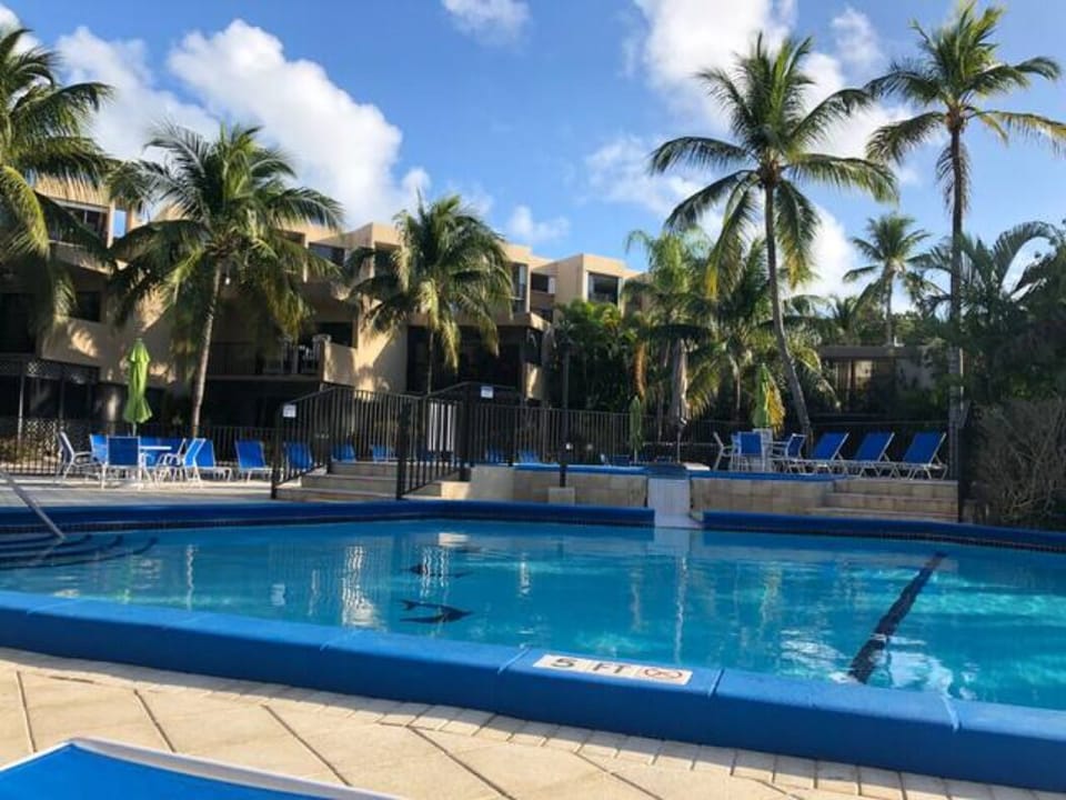 The pool deck