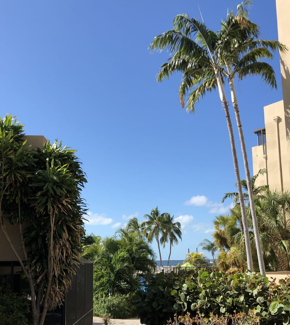 View from the patio