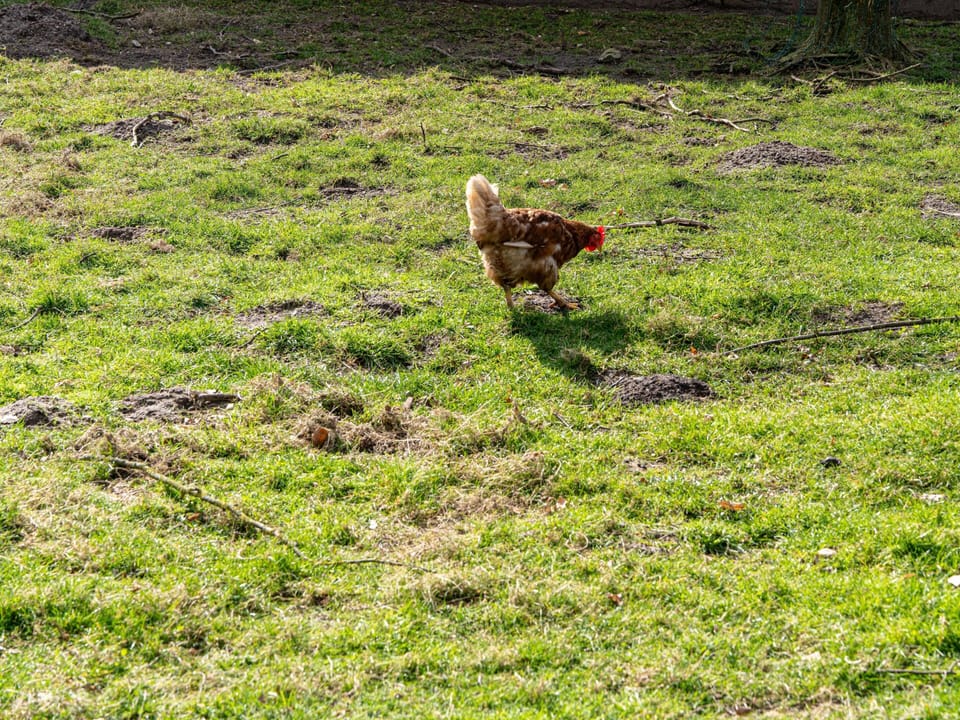 Immediate Surroundings [summer] (<1 km)