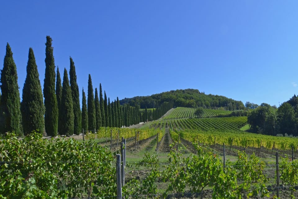 The countryside surrounding the property