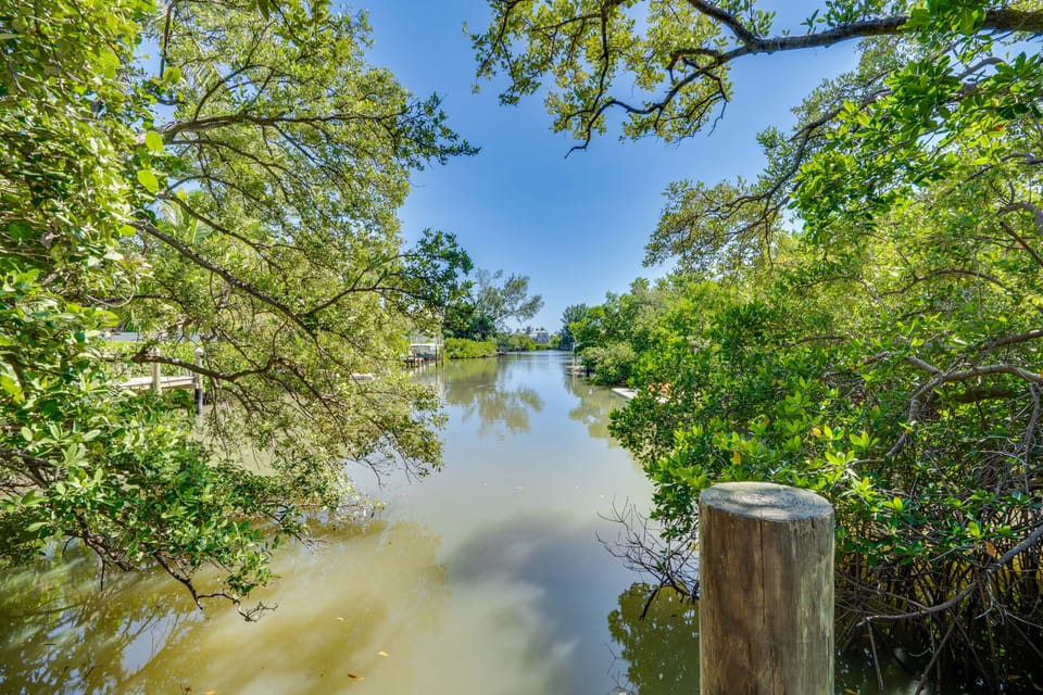 Viewing Dock