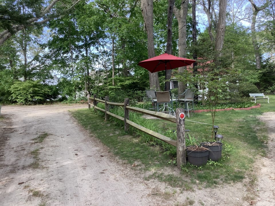 relax in the woods
