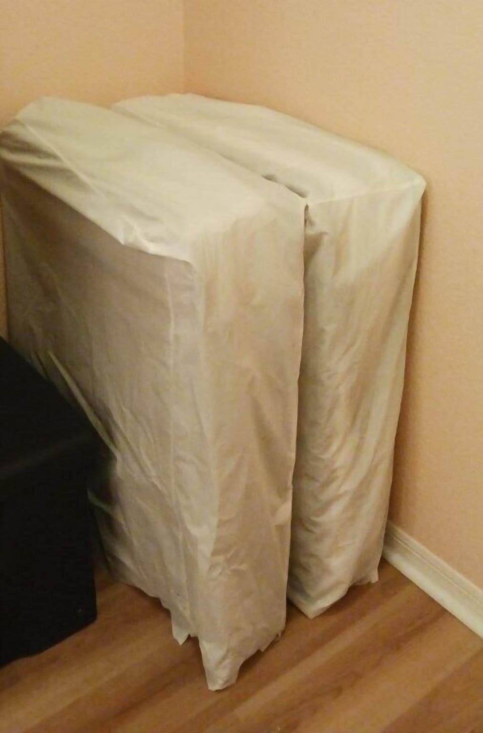 2 Folding beds stored in closet.