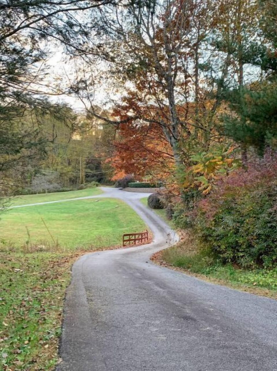 Driveway towards the home