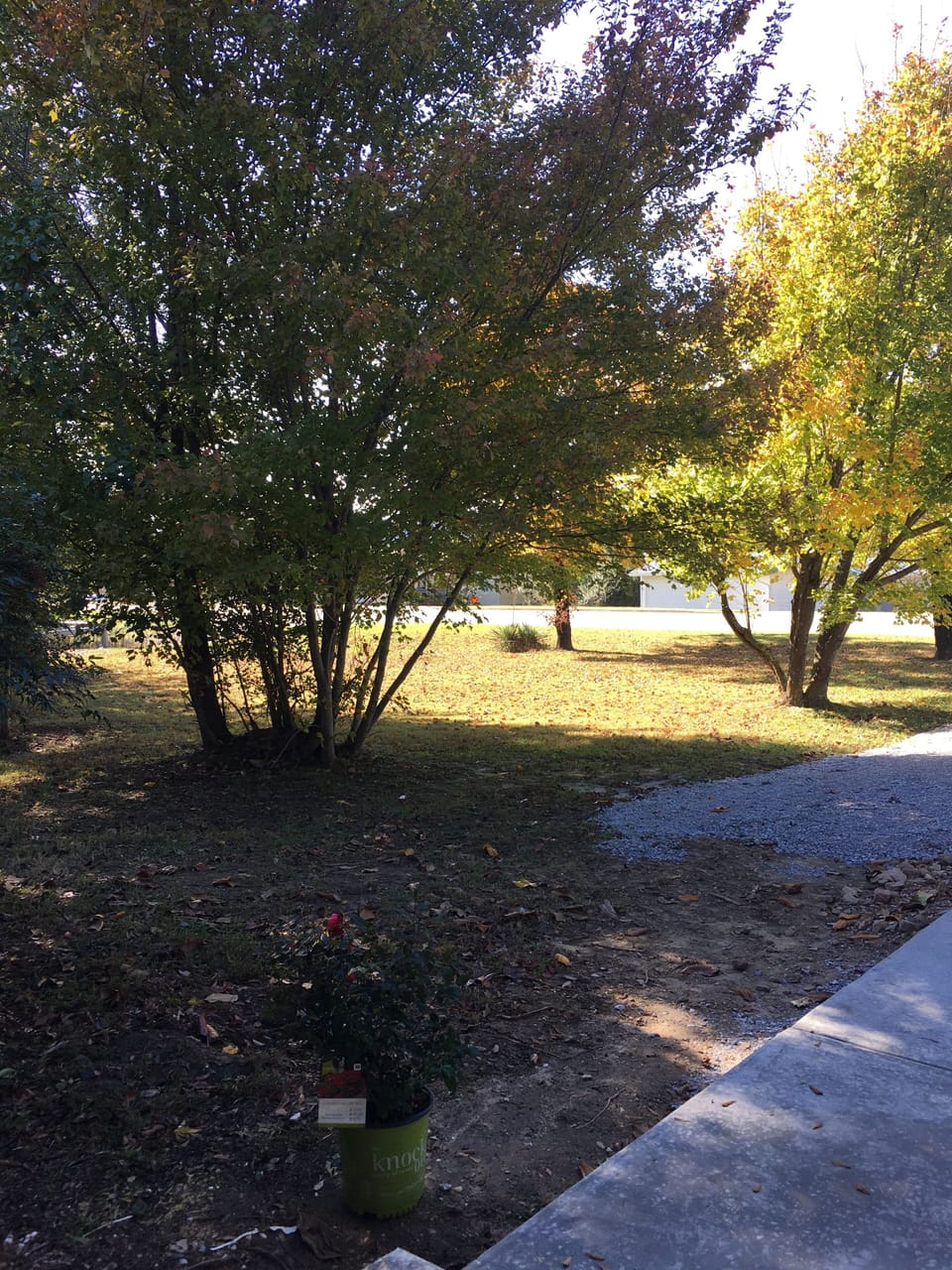 Property grounds