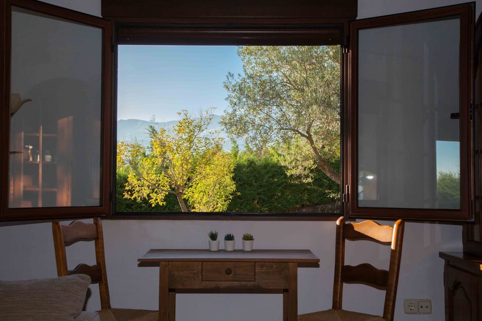 From the breakfast table