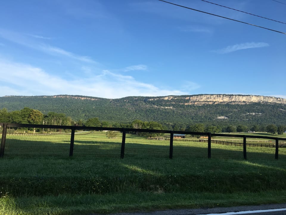 View from property