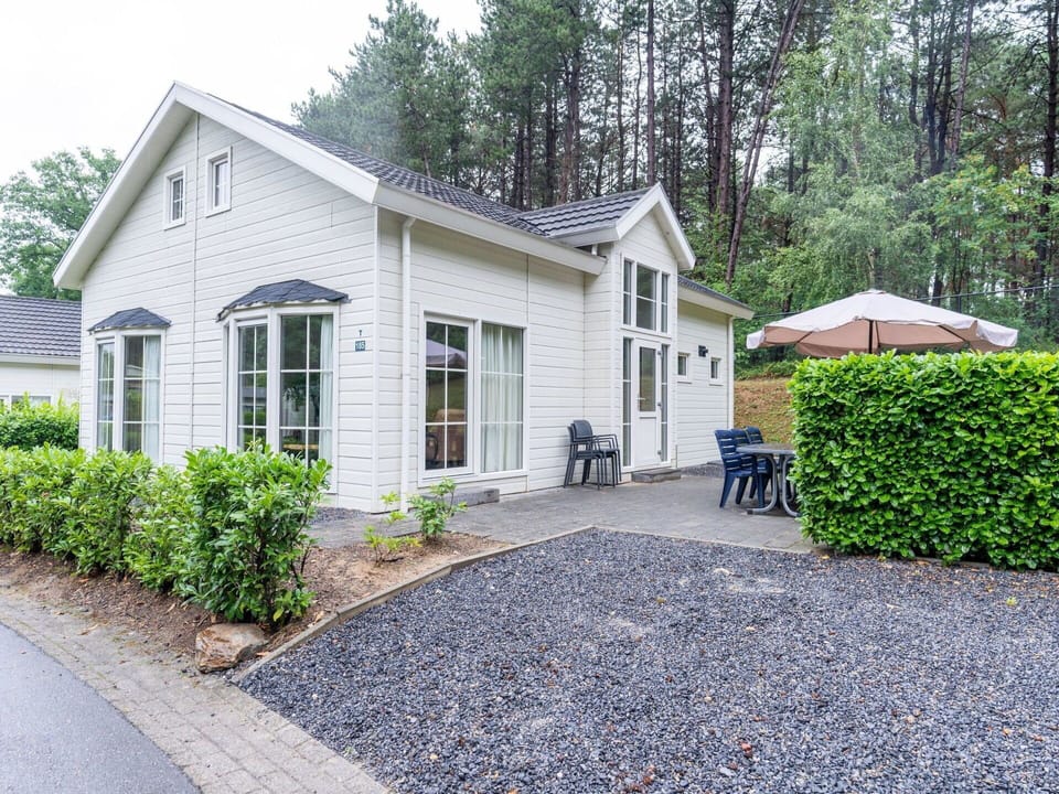 Plant, Building, Window, Tree, House, Land Lot, Road Surface, Asphalt, Door