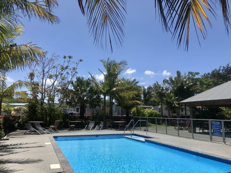 Pool and barbecue area