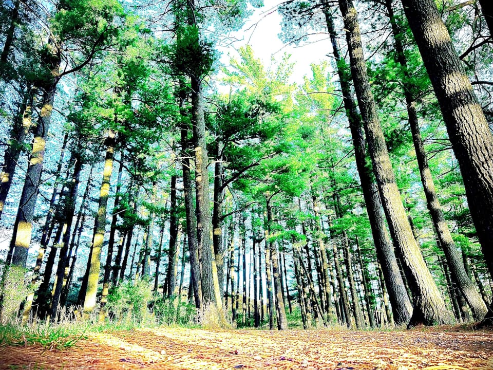 Millie Mine Bat Cave scenic overlook of Iron Mountain and Kingsford.