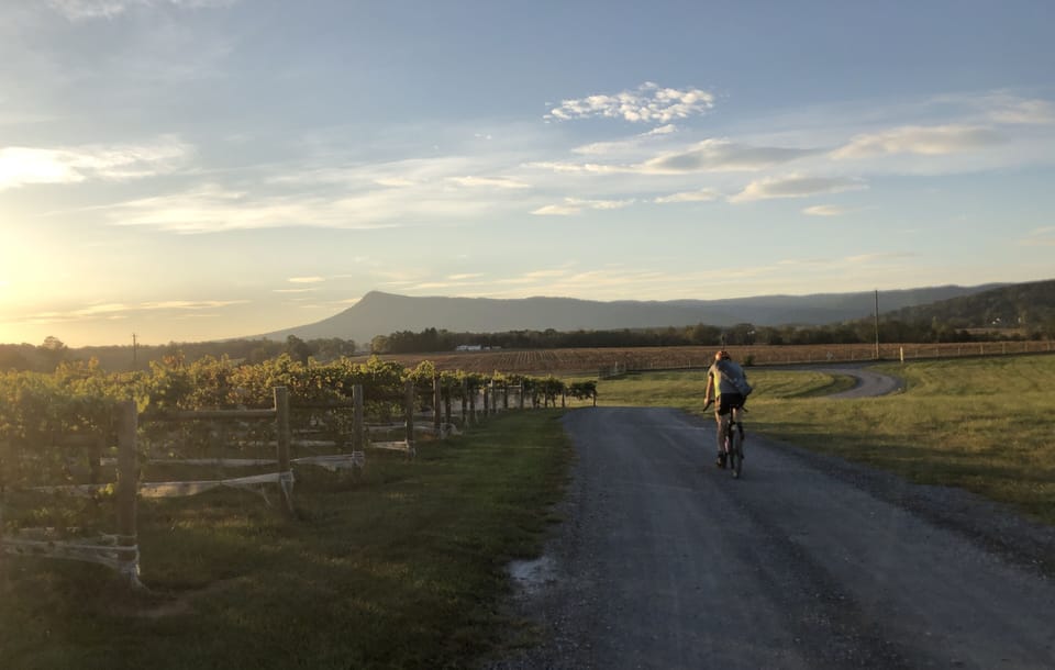 Five wonderful vineyards all within 5 to 25 miles of the house.