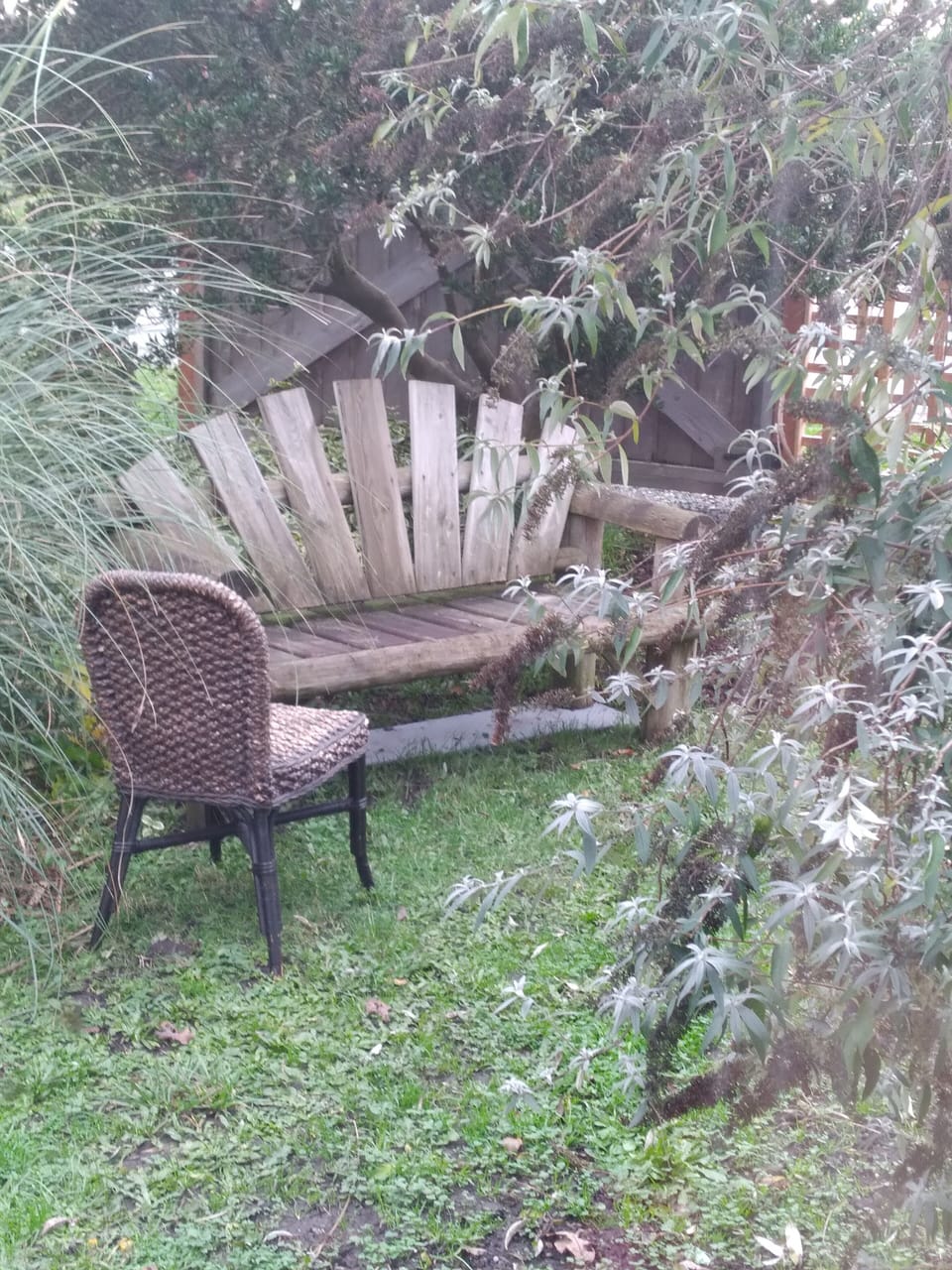garden bench April 2021