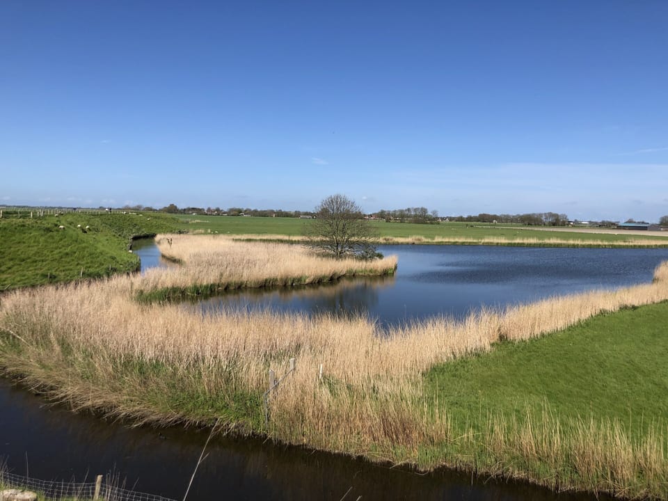 De Westfriese dijk 