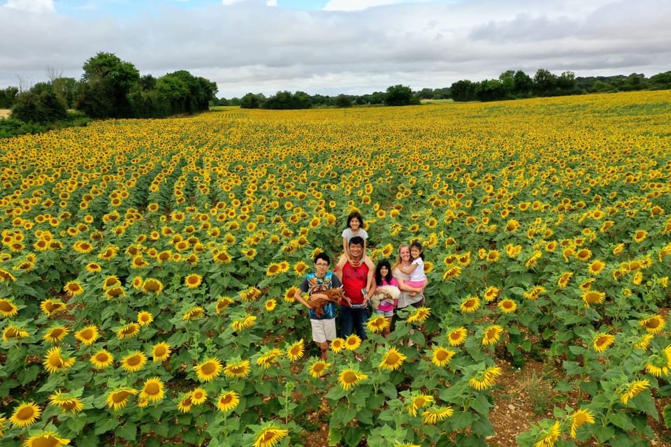 Country fields