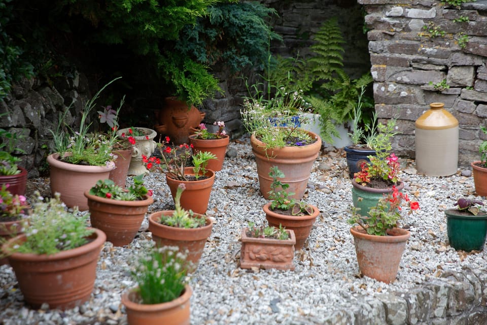 The Coach House - Herb Garden