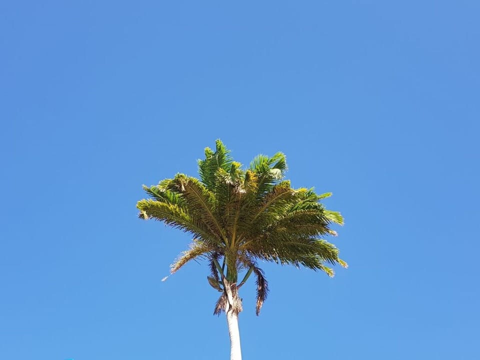 Perfect blue sky
