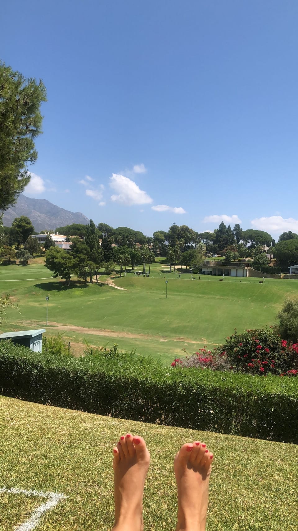 Golf