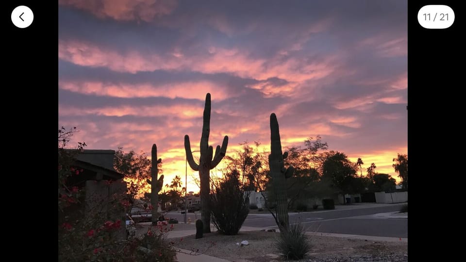 Sunrise from front yard.