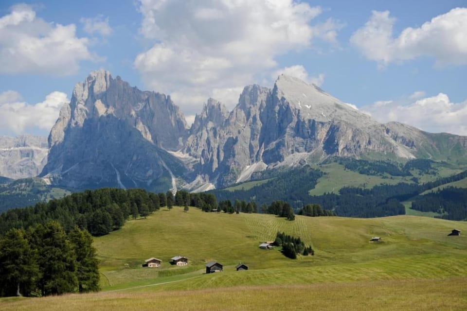 Region [summer] (>5 km)