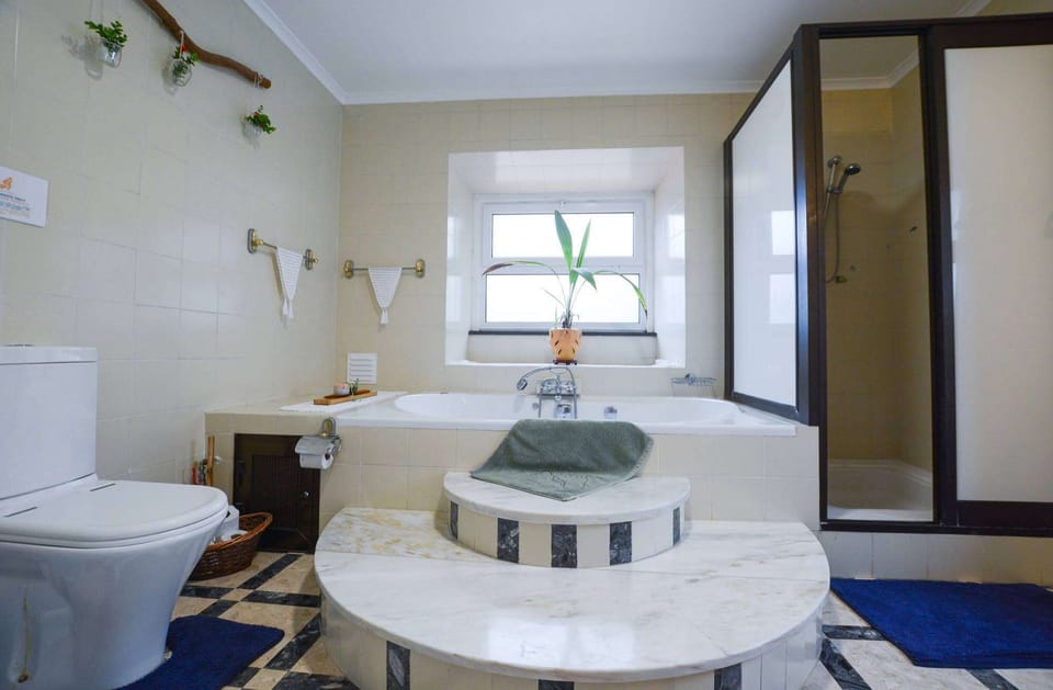 Mid-century marble bathroom.