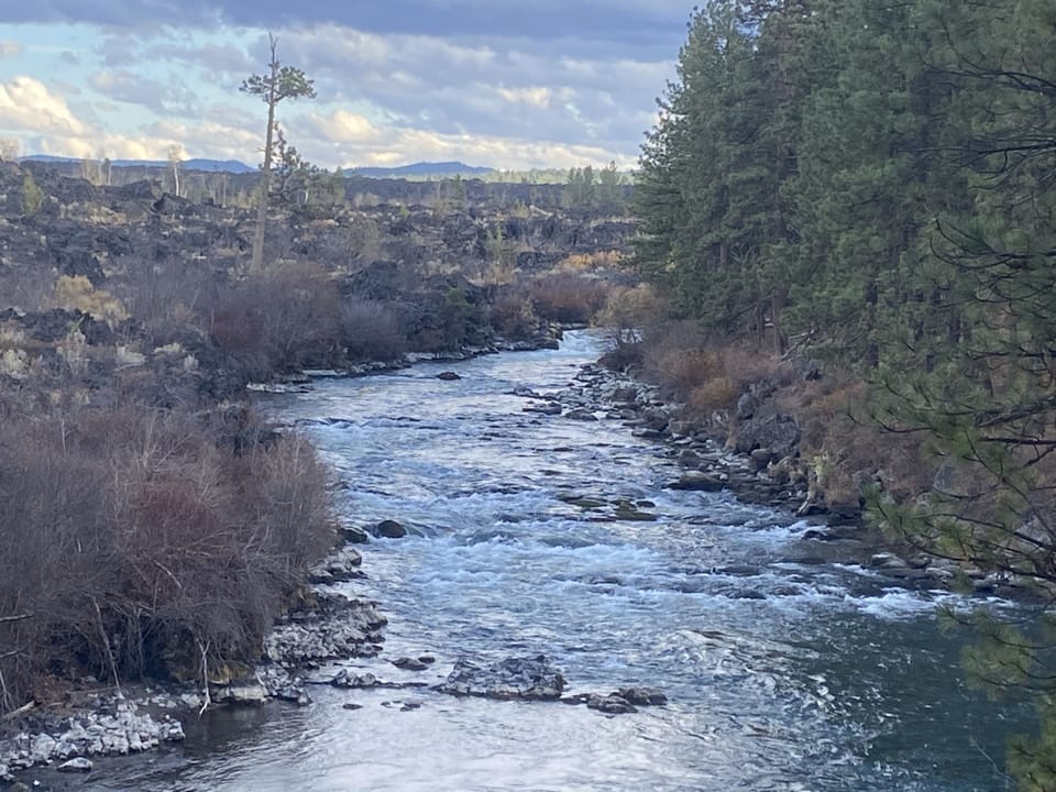 Deschutes River - short hike from the house to the river trail
