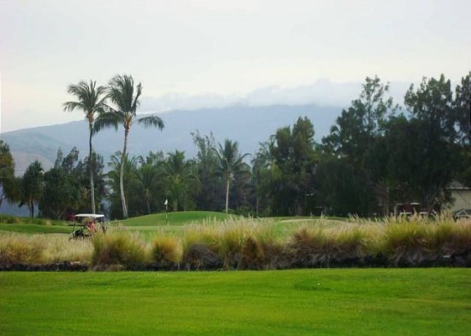 Golf course view