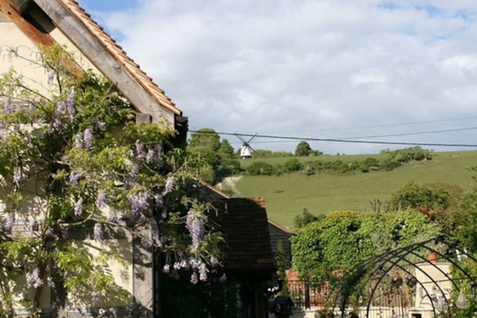 Image 11