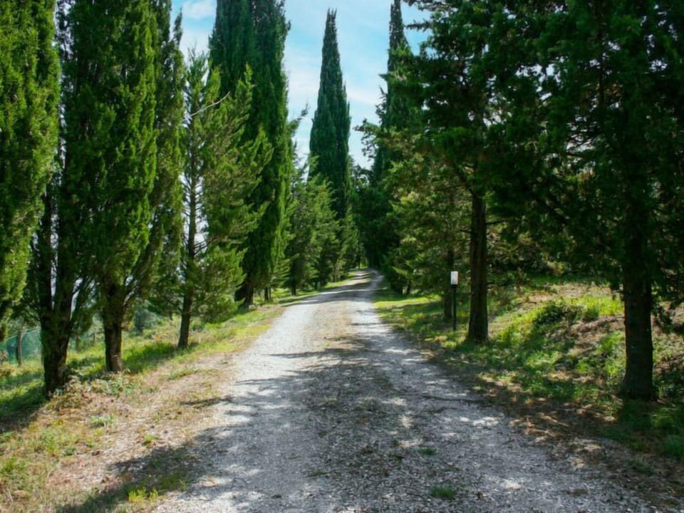 Place
