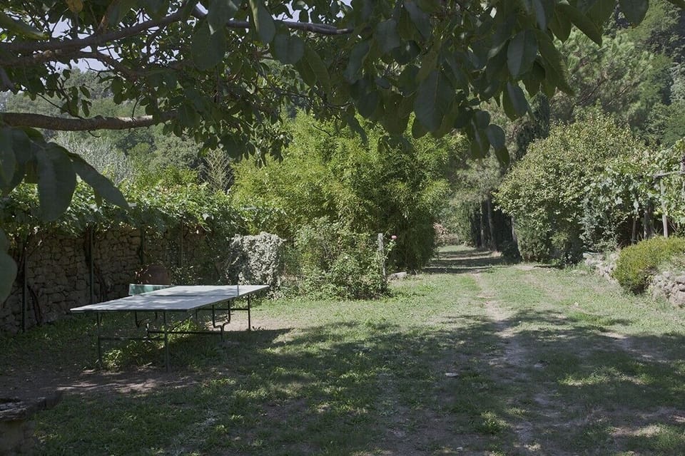 Ping Pong