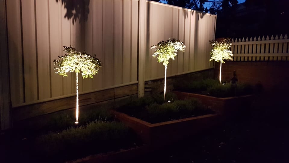 Entry & Garden feature lighting
