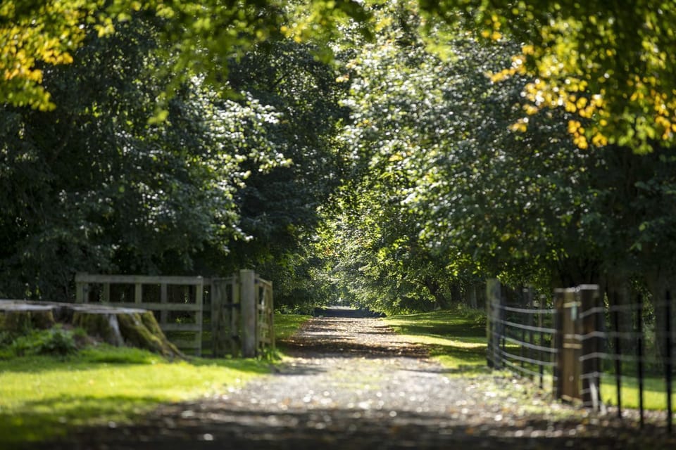 Avenues to explore