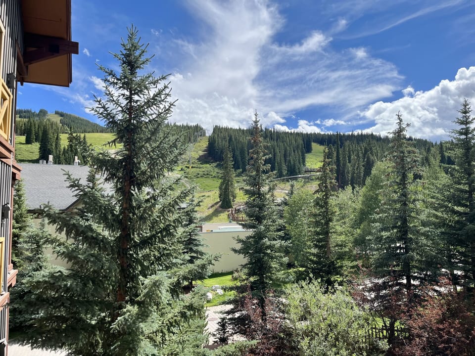 view from deck