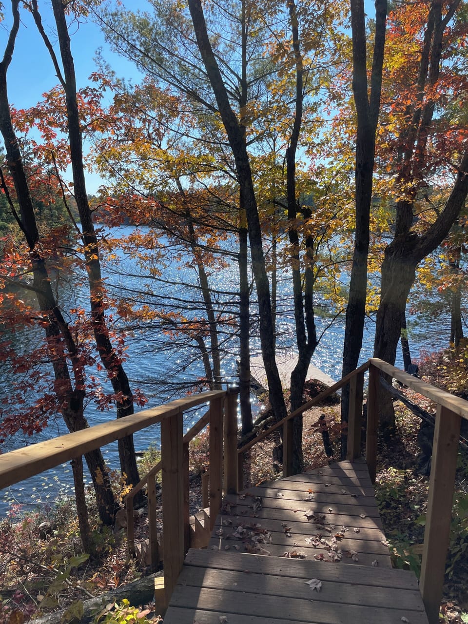 View from property