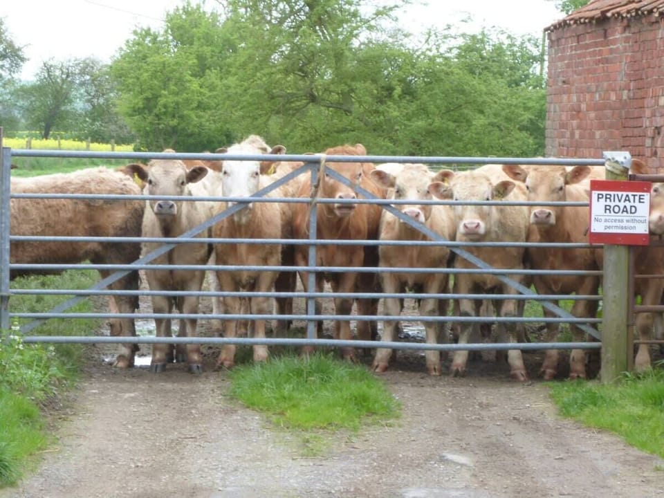 Great Habton Cottage, Great Habton - Host & Stay