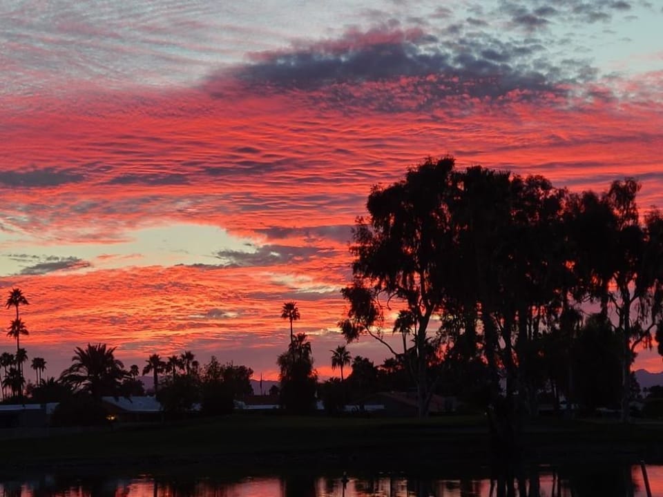 Photo taken  from back yard by guest. Feb, 2021