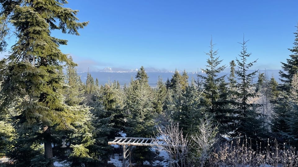Winter views from the back patio