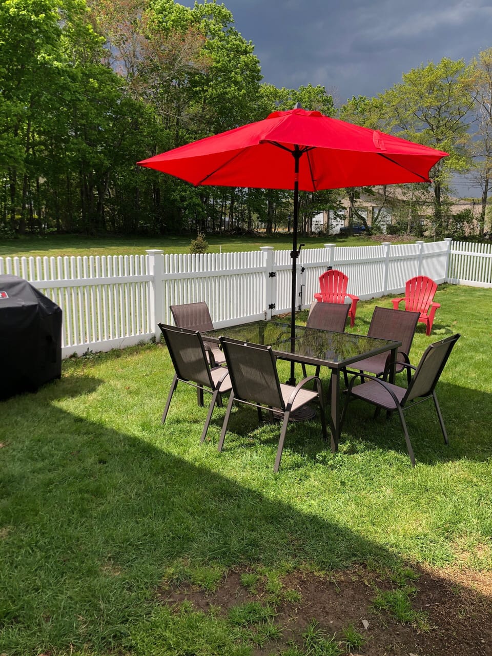 Fenced back yard 