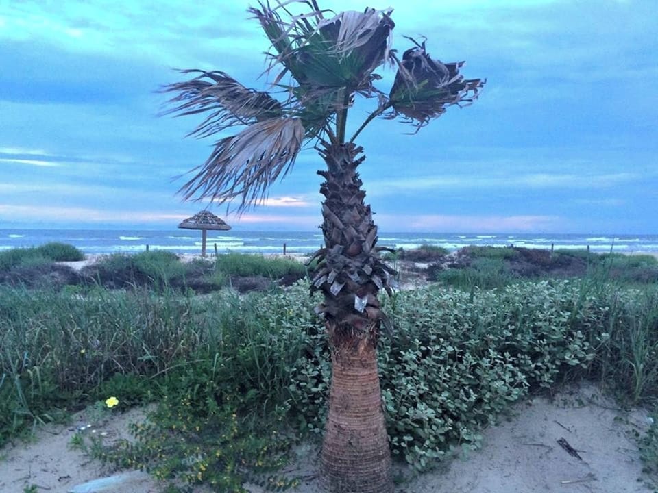 Evening at the Beach