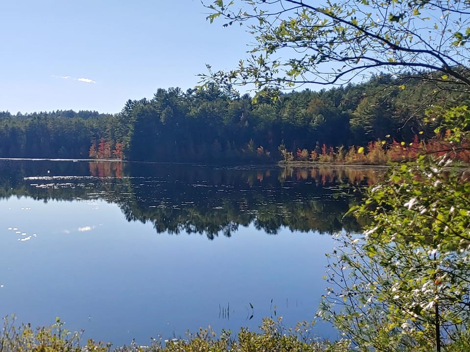 Many Adirondack Lakes within 5 miles