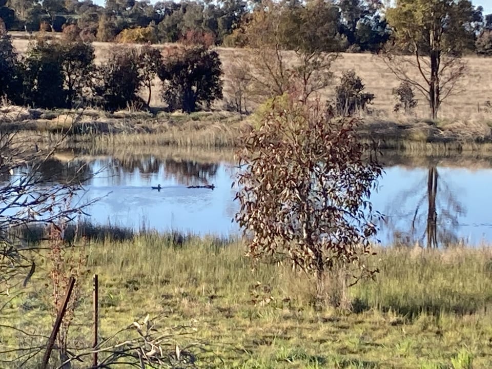 Dam at the back of Hygge House