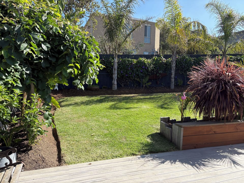 Backyard