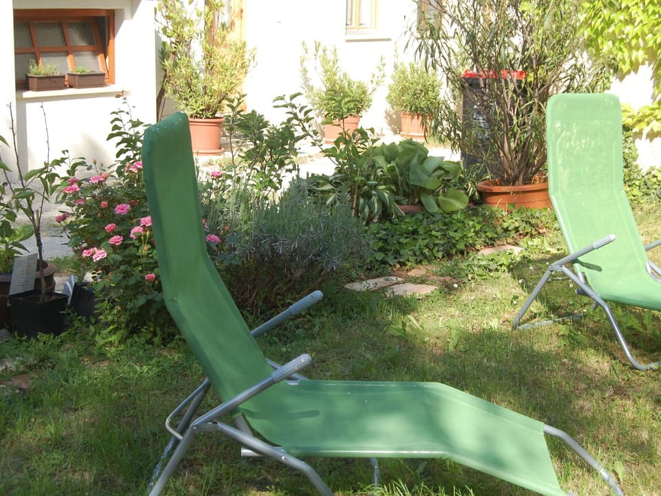 Plant, Property, Window, Outdoor Furniture, Grass, Flower, Terrestrial Plant, Chair, Armrest, Shrub