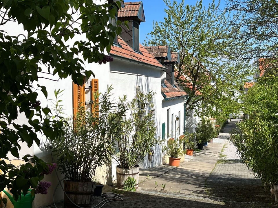 Plant, Building, Sky, Window, Leaf, House, Road Surface, Tree, Biome, Cottage