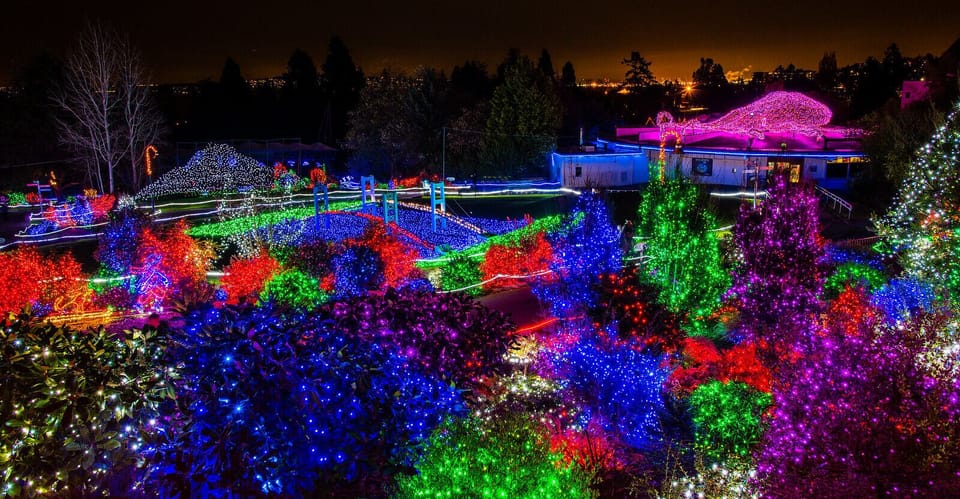 Zoo night lights