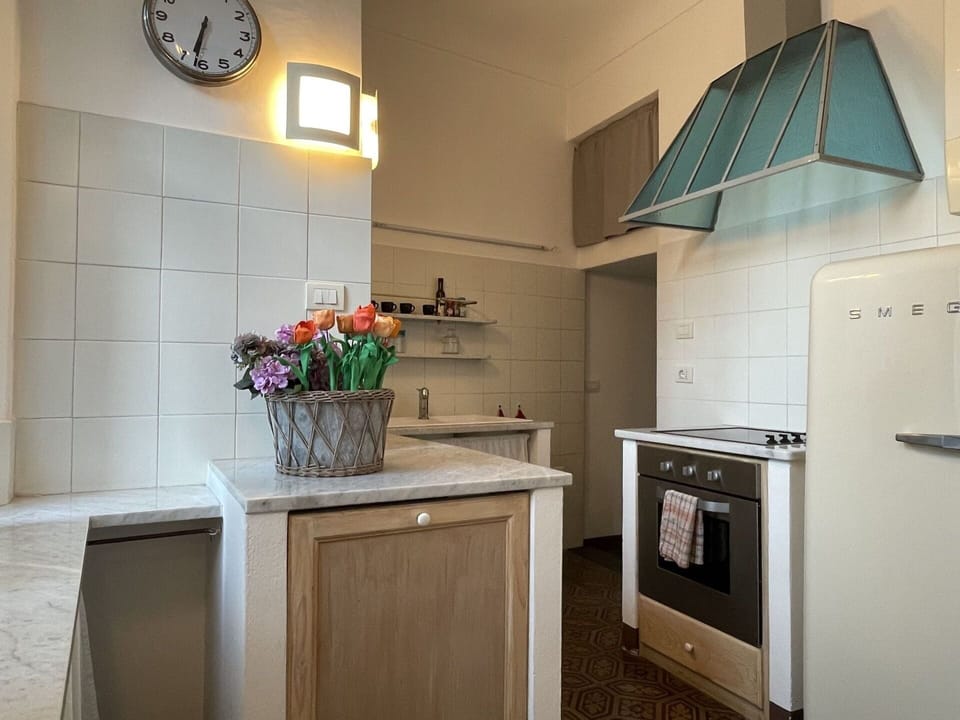 Cabinetry, Property, Countertop, Plant, Flower, Flowerpot, Kitchen Stove, Houseplant, Kitchen Appliance, Lighting