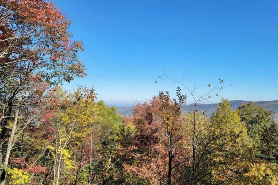 Early fall views from the porch