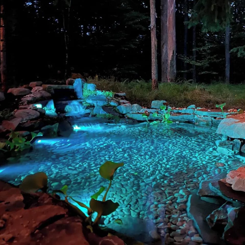 Night time view of the pond.