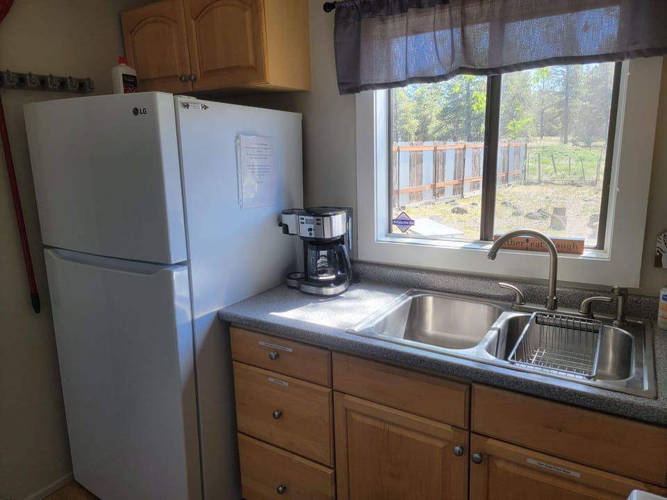 Kitchen looks out into the backyard